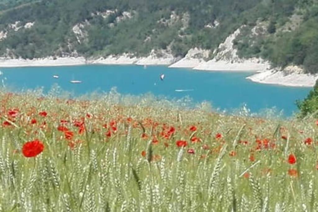 Gite De Charme : La Grange Au Lac Azur Treffort  Exterior photo